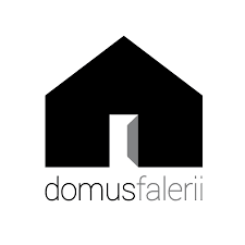 domus falerii