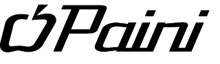 logo-paini
