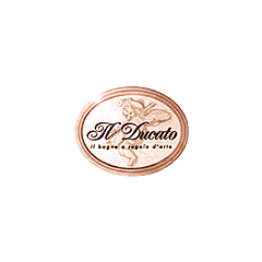 Logo il ducato