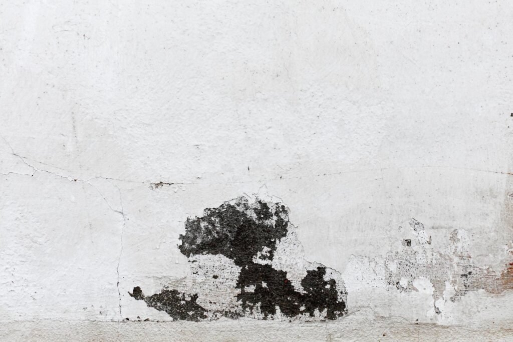 75b8b7cb2ac77577509127155a43b2e9dc85c1816f7129e774643e9a363c3840