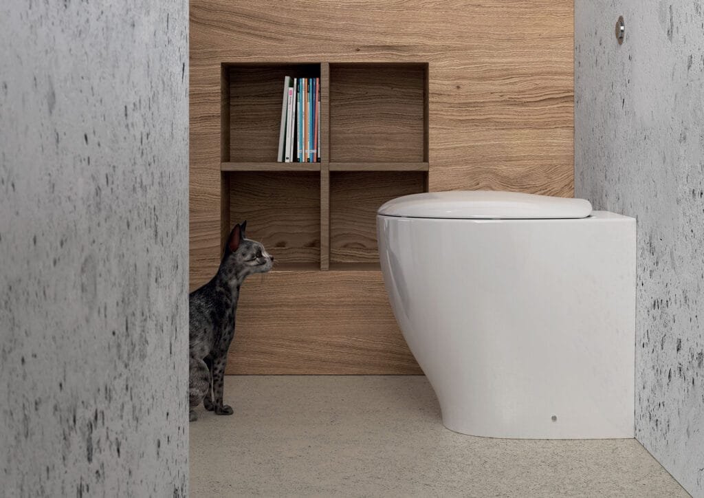 Tufo Gatto 02