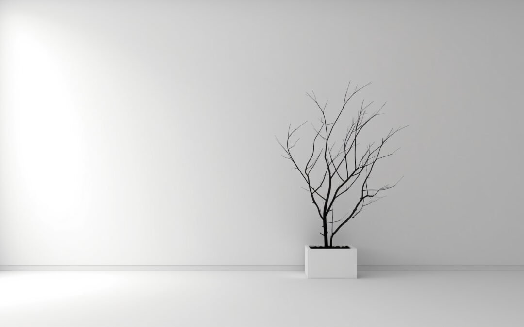 Il Tuo Spazio Ti Rappresenta, Cosa Dice di Te la Tua Casa