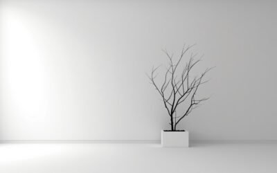 Il Tuo Spazio Ti Rappresenta, Cosa Dice di Te la Tua Casa